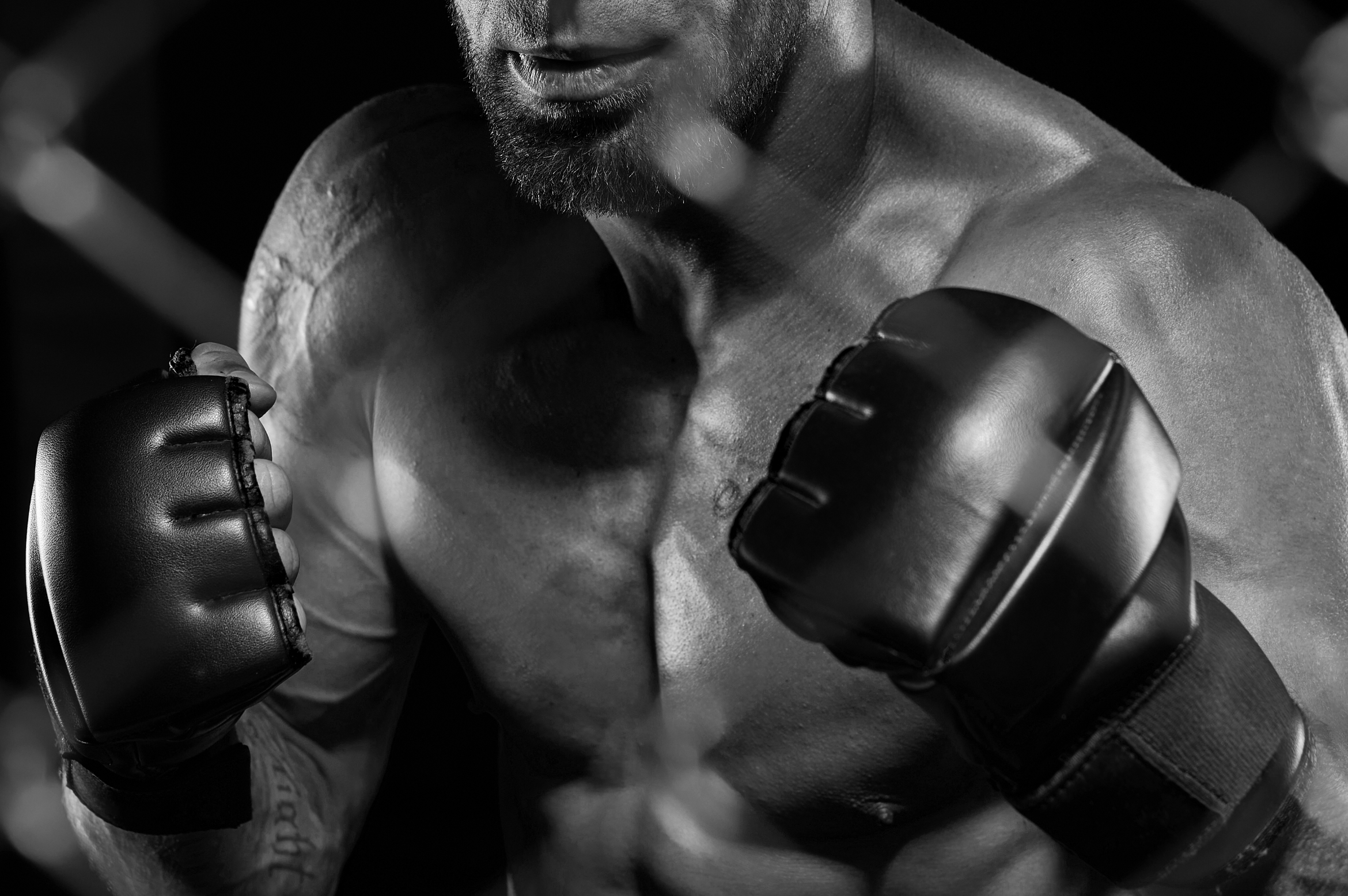 Mixed Fight Arena