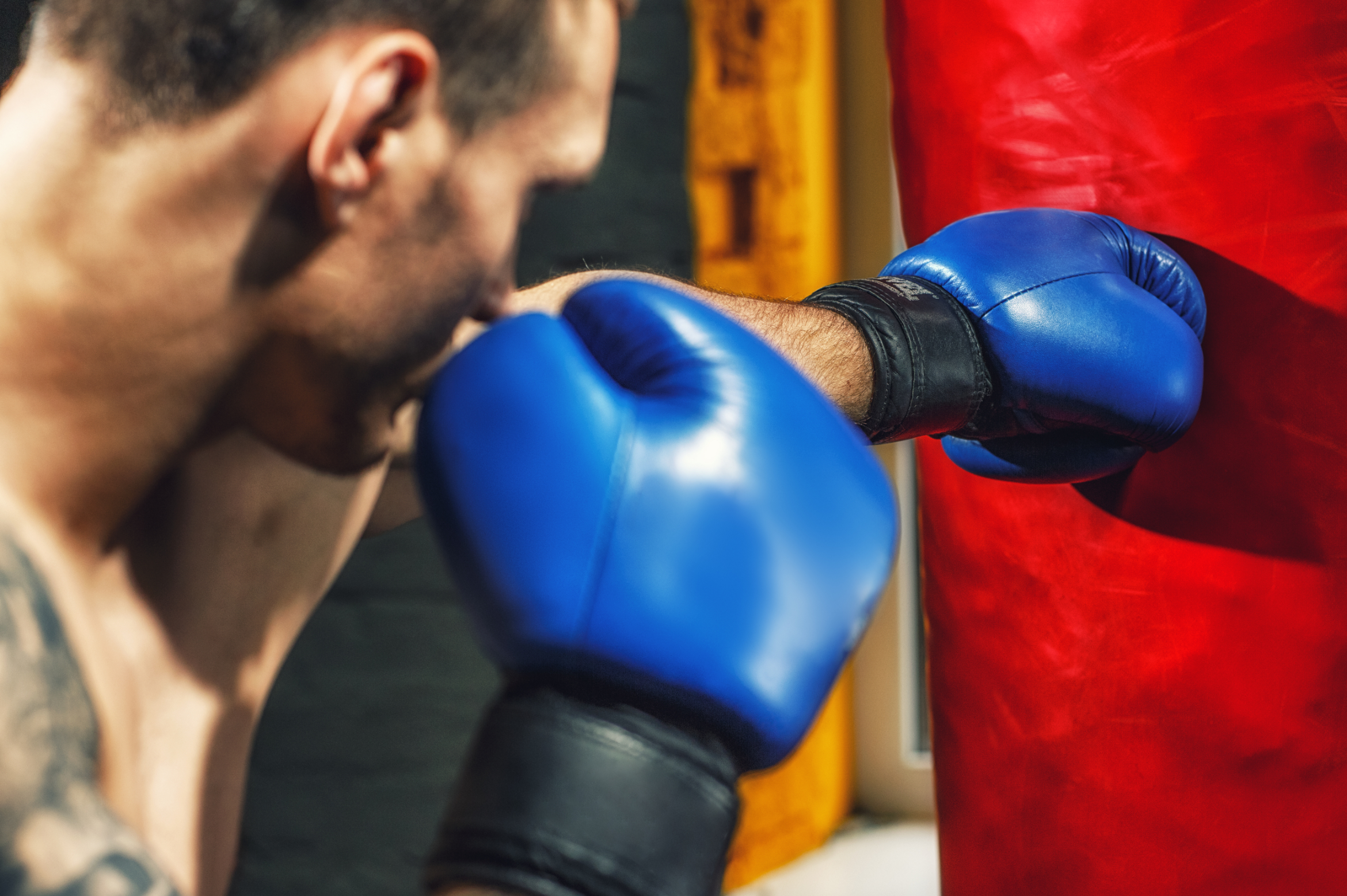 MMA Action