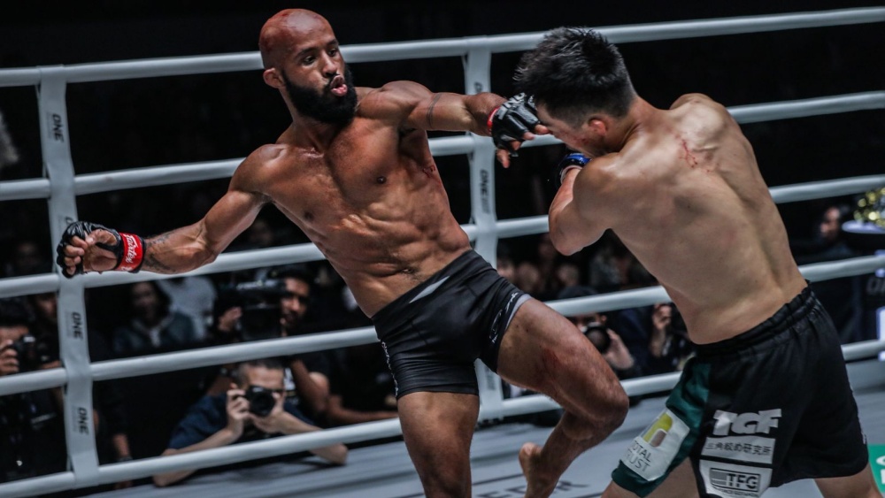 MMA Fighter
