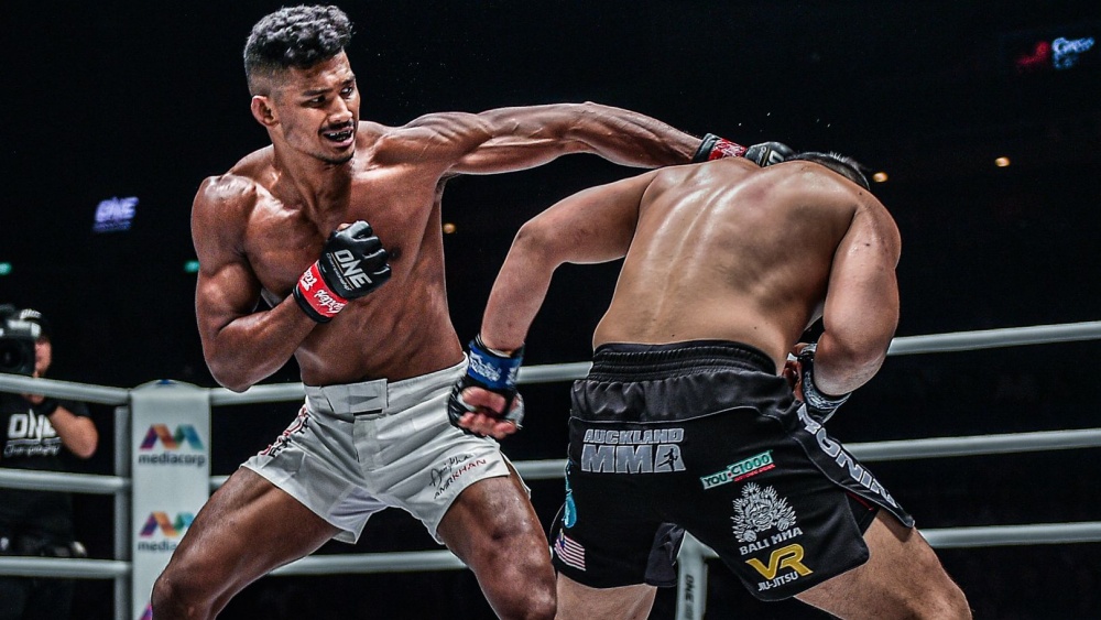 Mixed Fight Arena