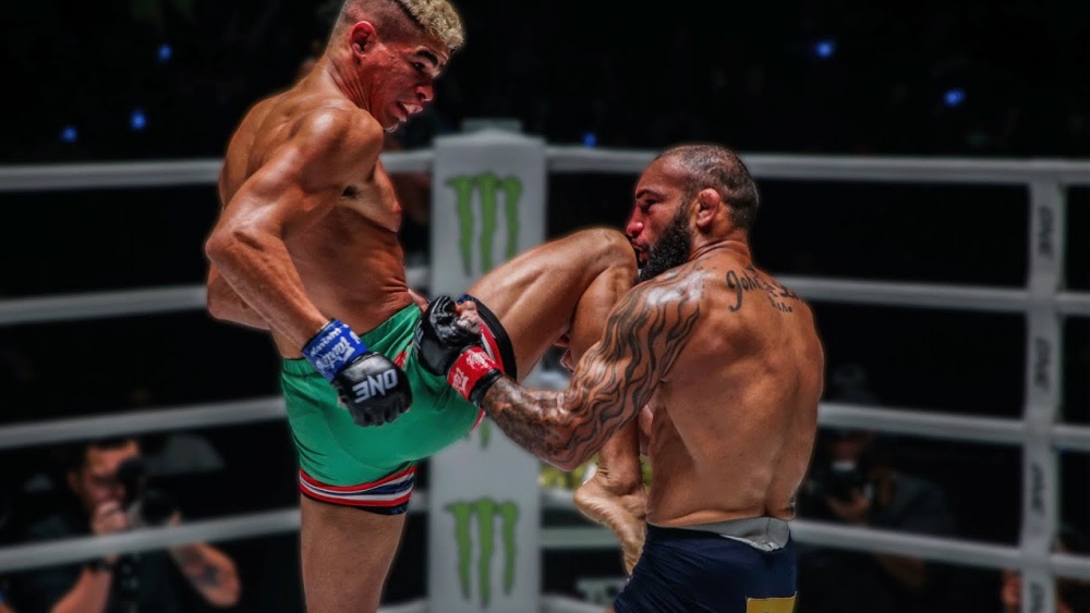Mixed Fight Arena